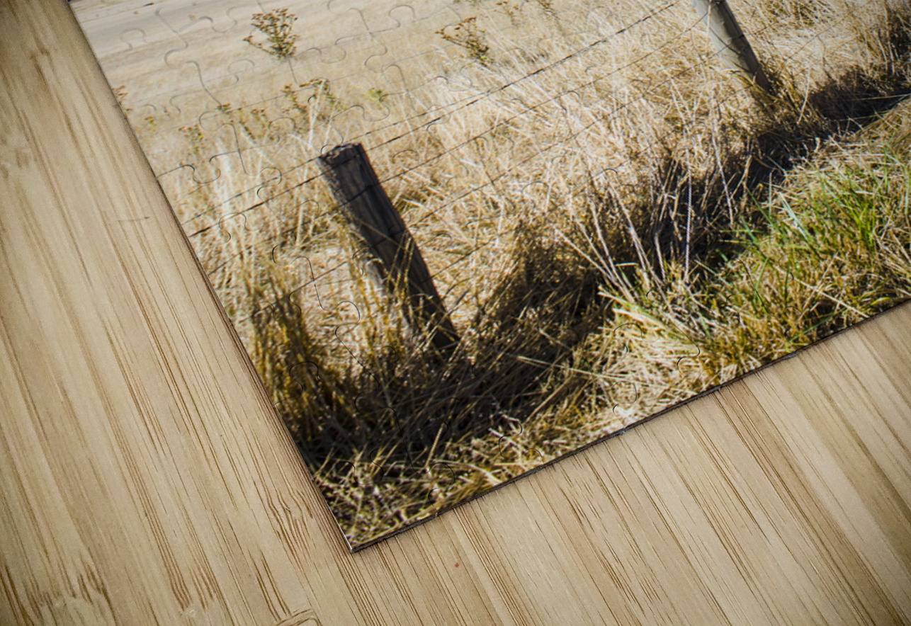 Arid agricultural landscape in South Tasmania Jorgo Puzzle