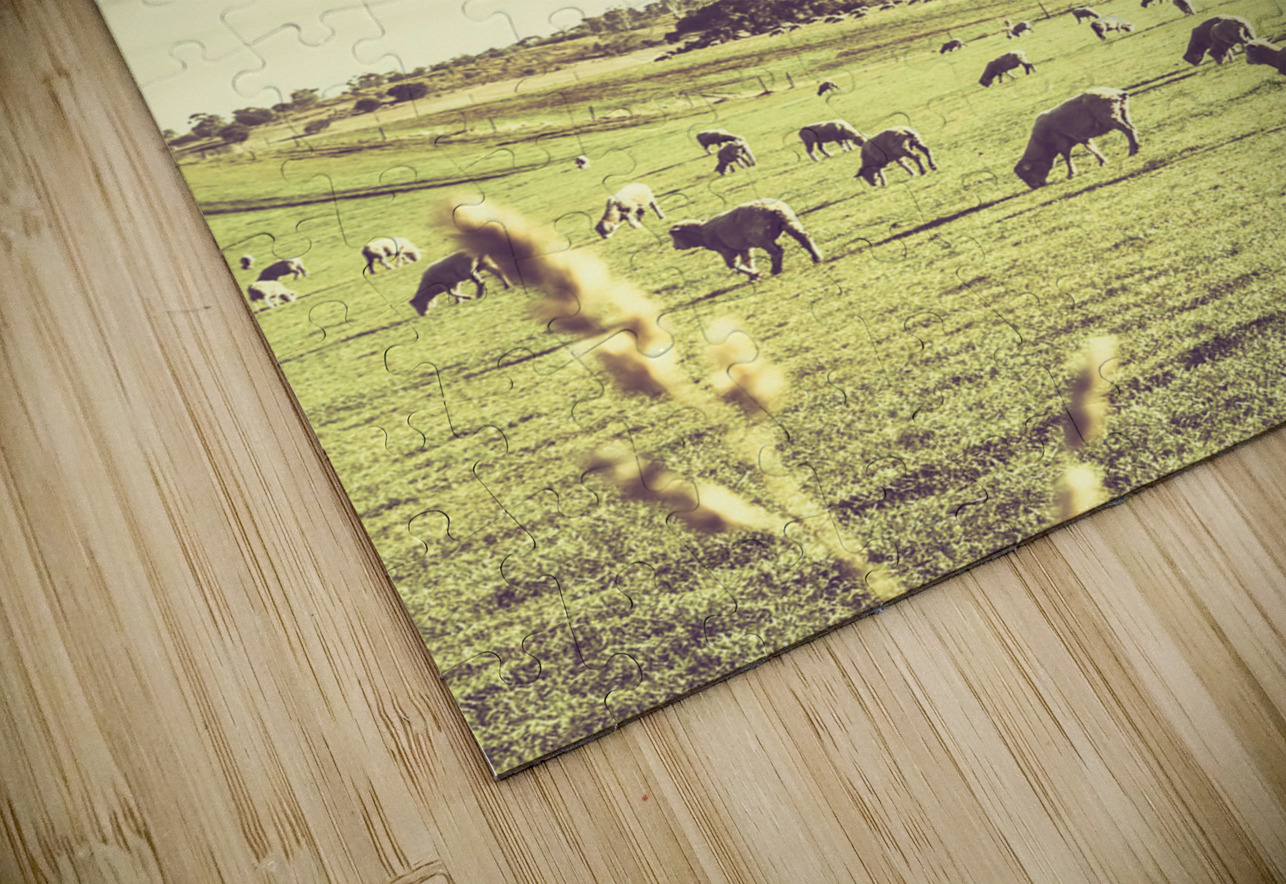Sheep grazing in rustic Richmond Jorgo Puzzle