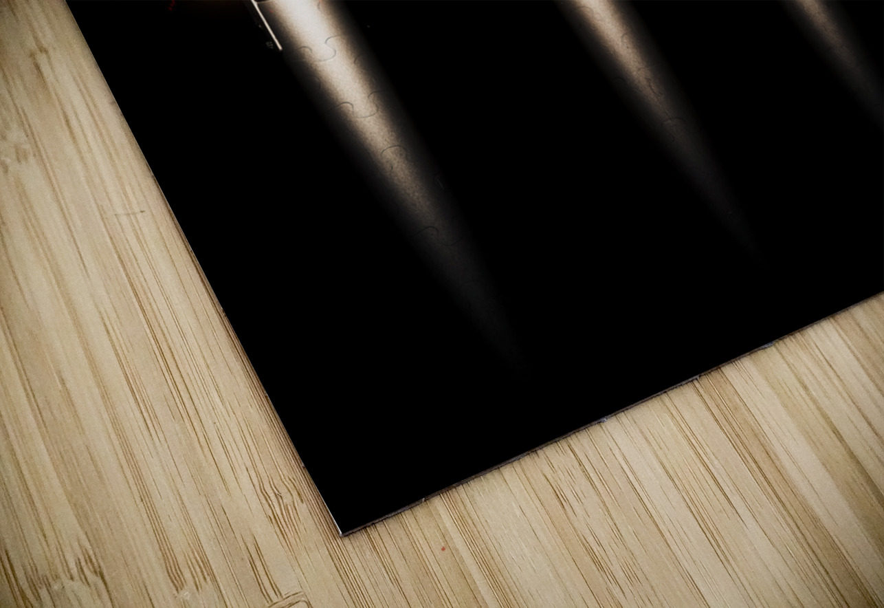 Singeing stage show Jorgo Puzzle