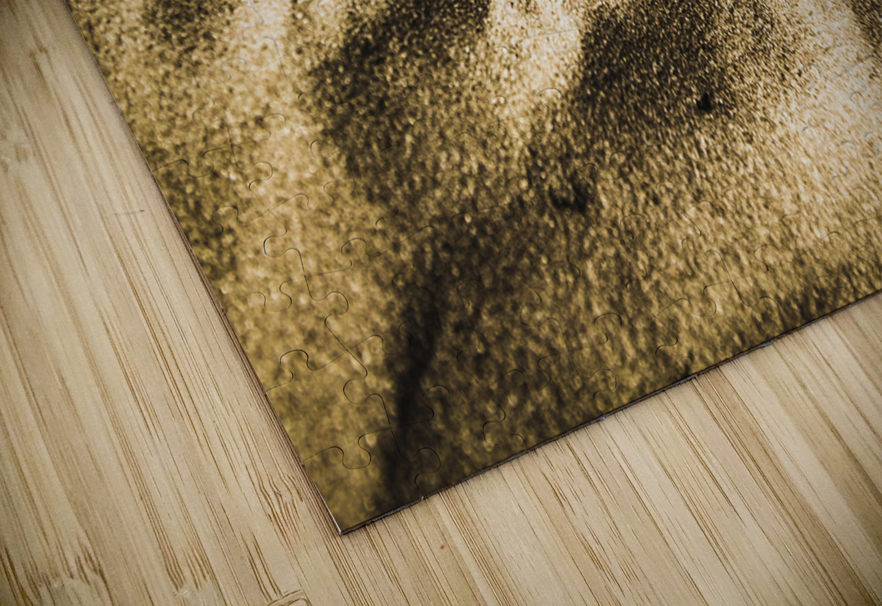 Deserted in time Jorgo Puzzle