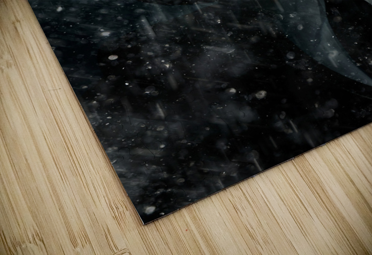 Bad News Jorgo Puzzle