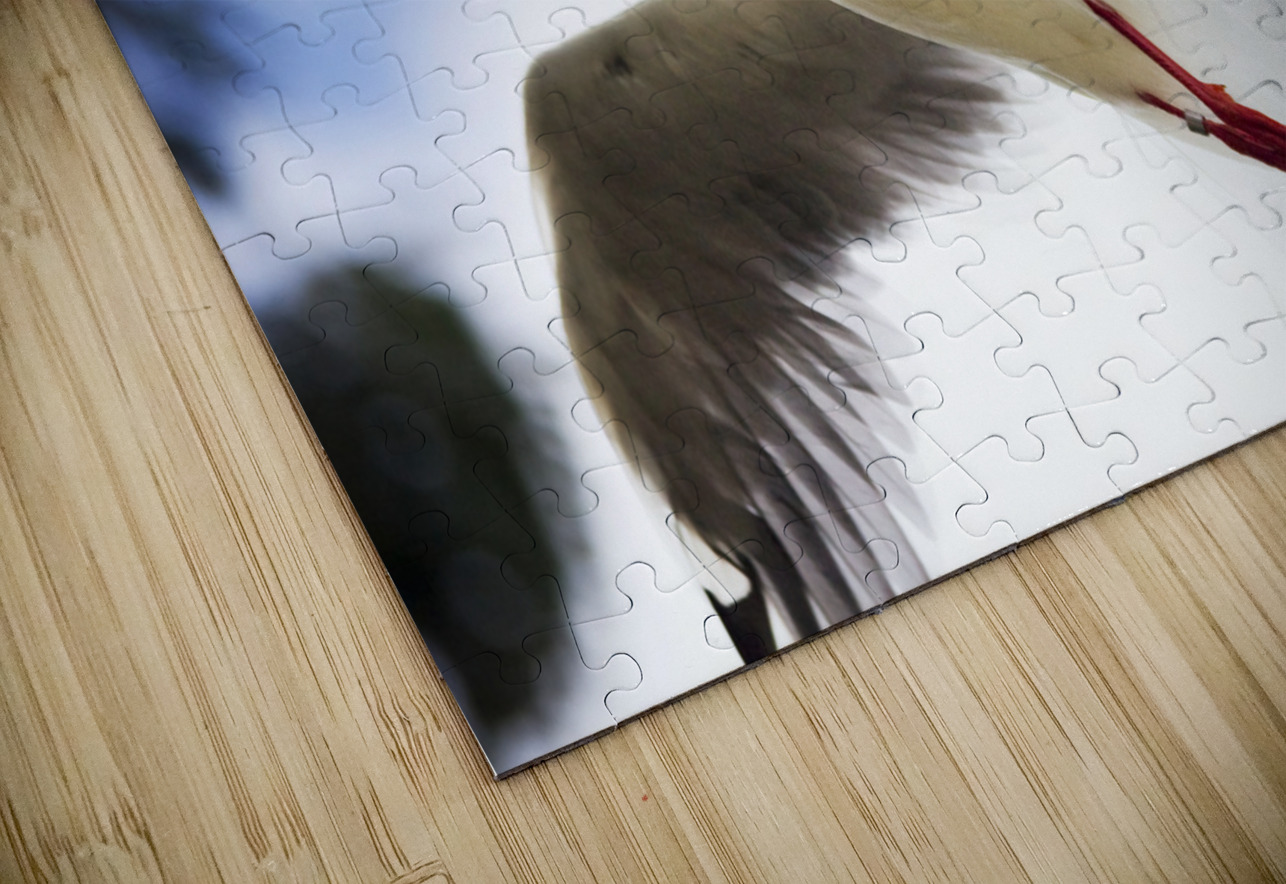 Dusk Flight Jorgo Puzzle