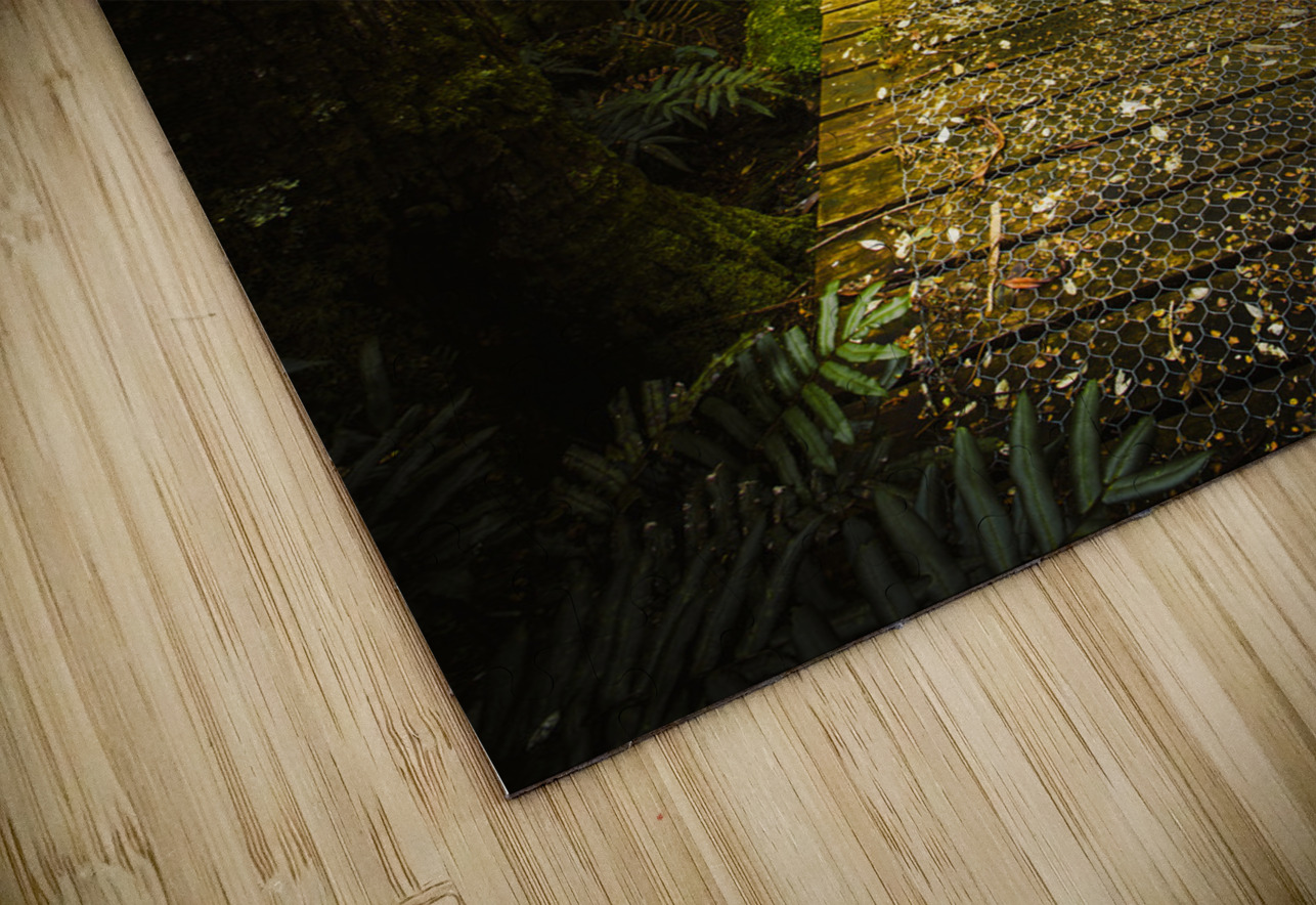 Lush Green Rainforest Walk Jorgo Puzzle