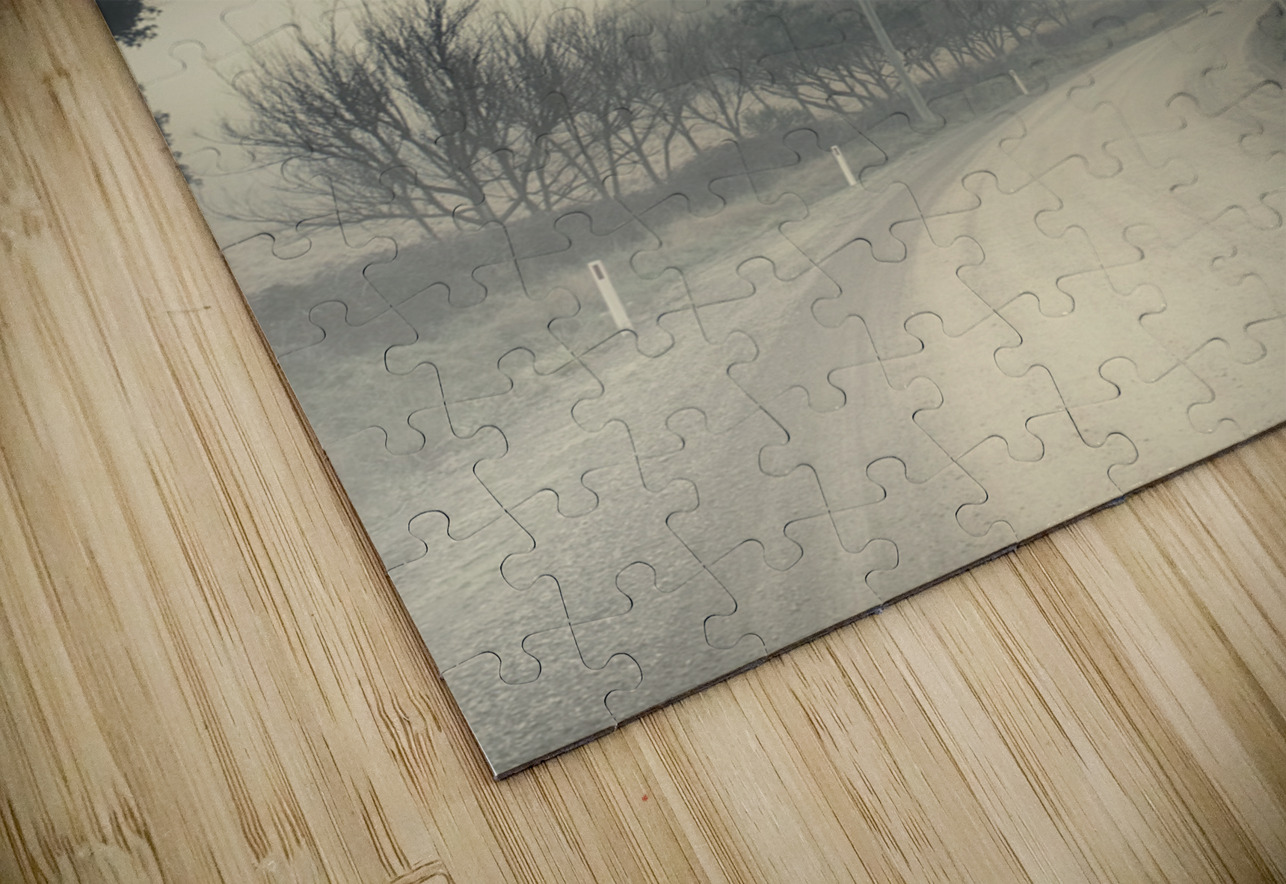 Windy paths to destinations unknown Jorgo Puzzle