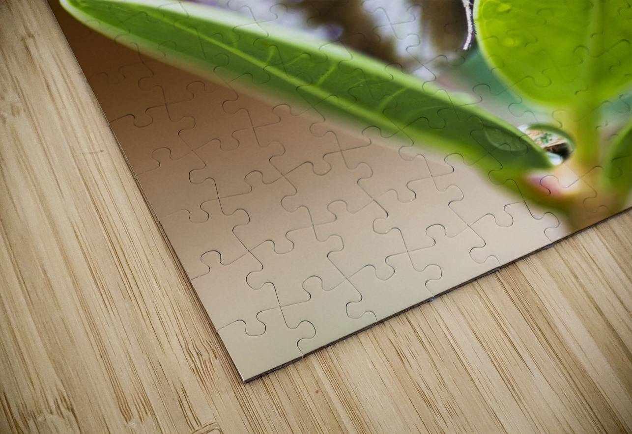 Beautiful Butterfly Jorgo Puzzle