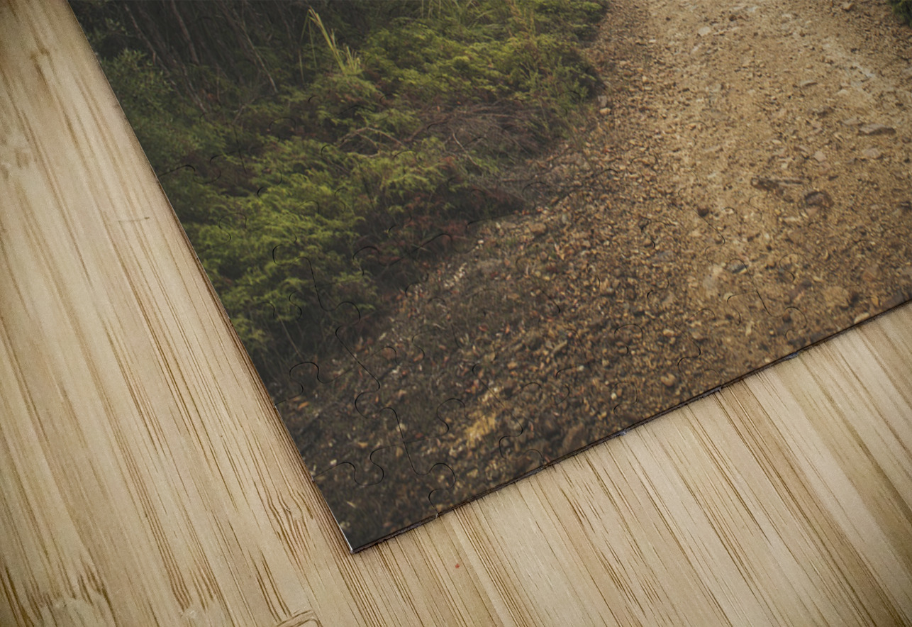 Classic old dirt road landscape in Australia Jorgo Puzzle