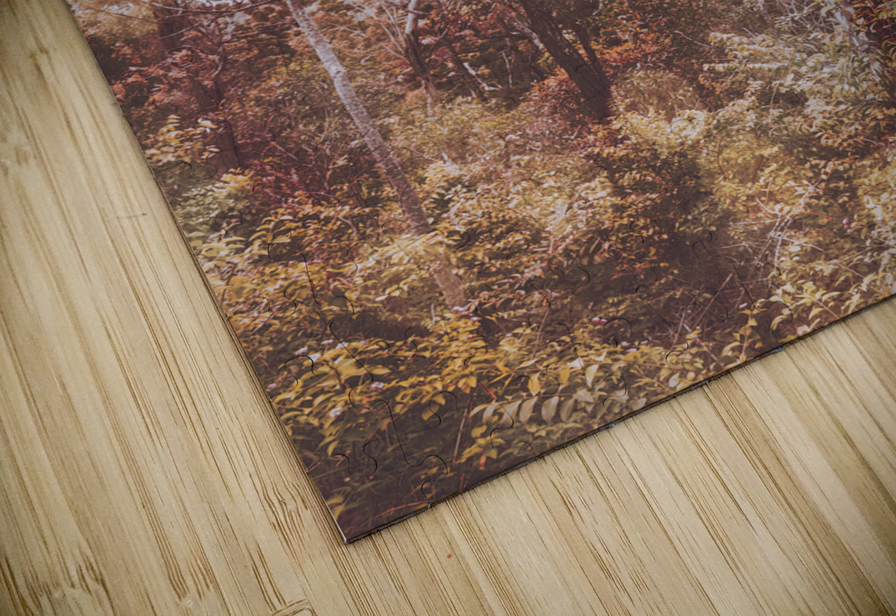 Backcountry colour Jorgo Puzzle