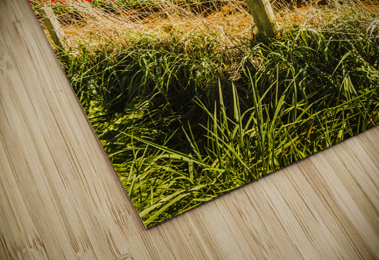 Wynyard Tulips Jorgo Puzzle