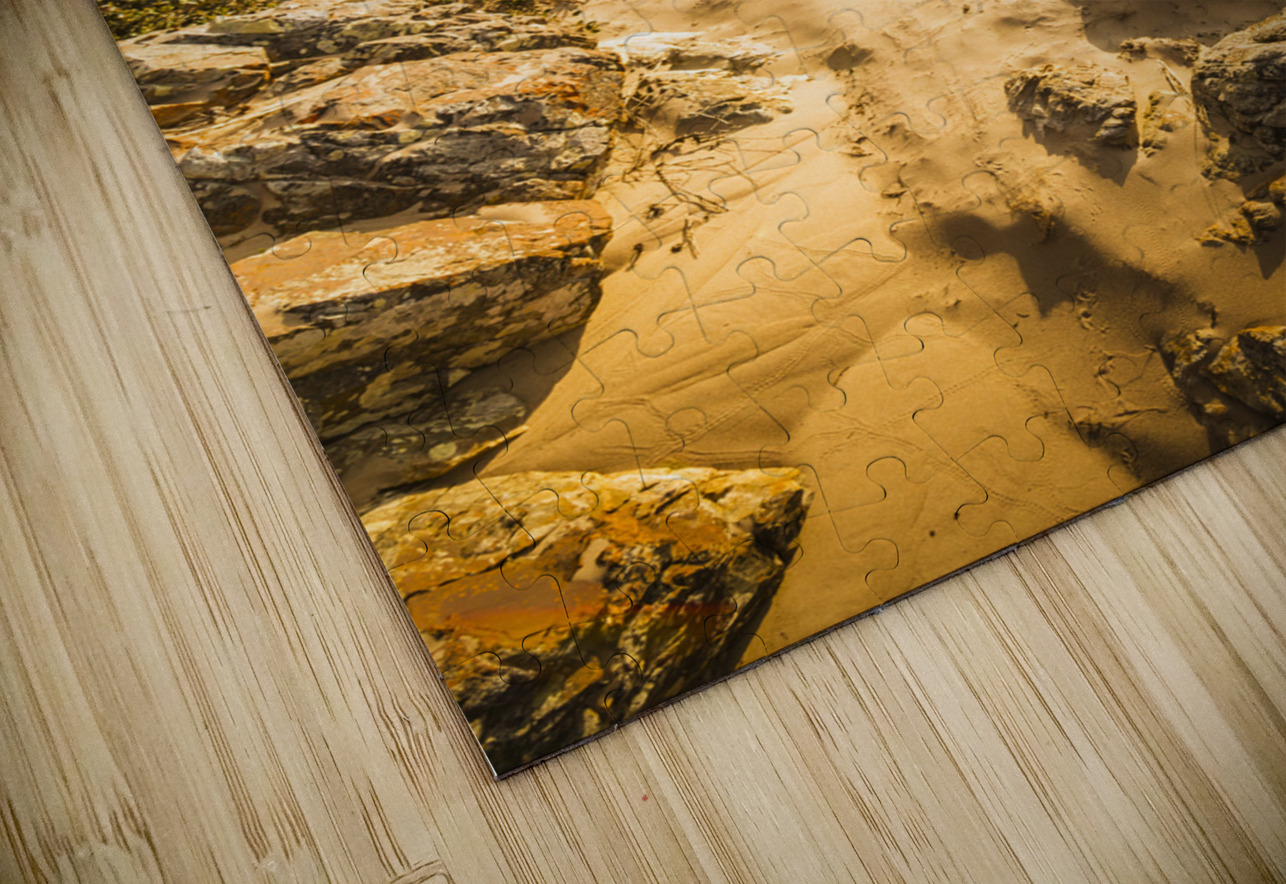 Shoreline Sunshine Jorgo Puzzle