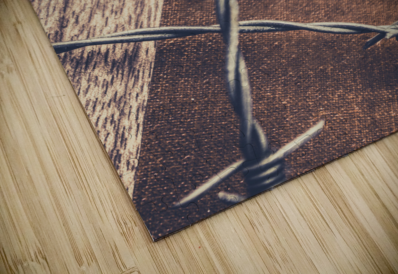 Control and confidentiality Jorgo Puzzle