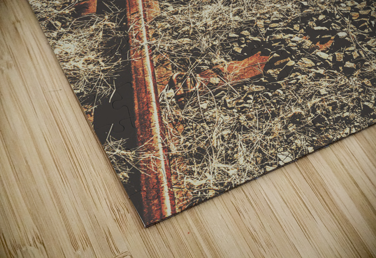 Western railway of routes forgotten Jorgo Puzzle