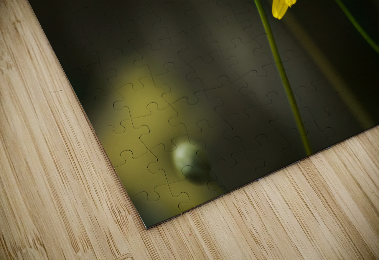 An Organic Connection Jorgo Puzzle