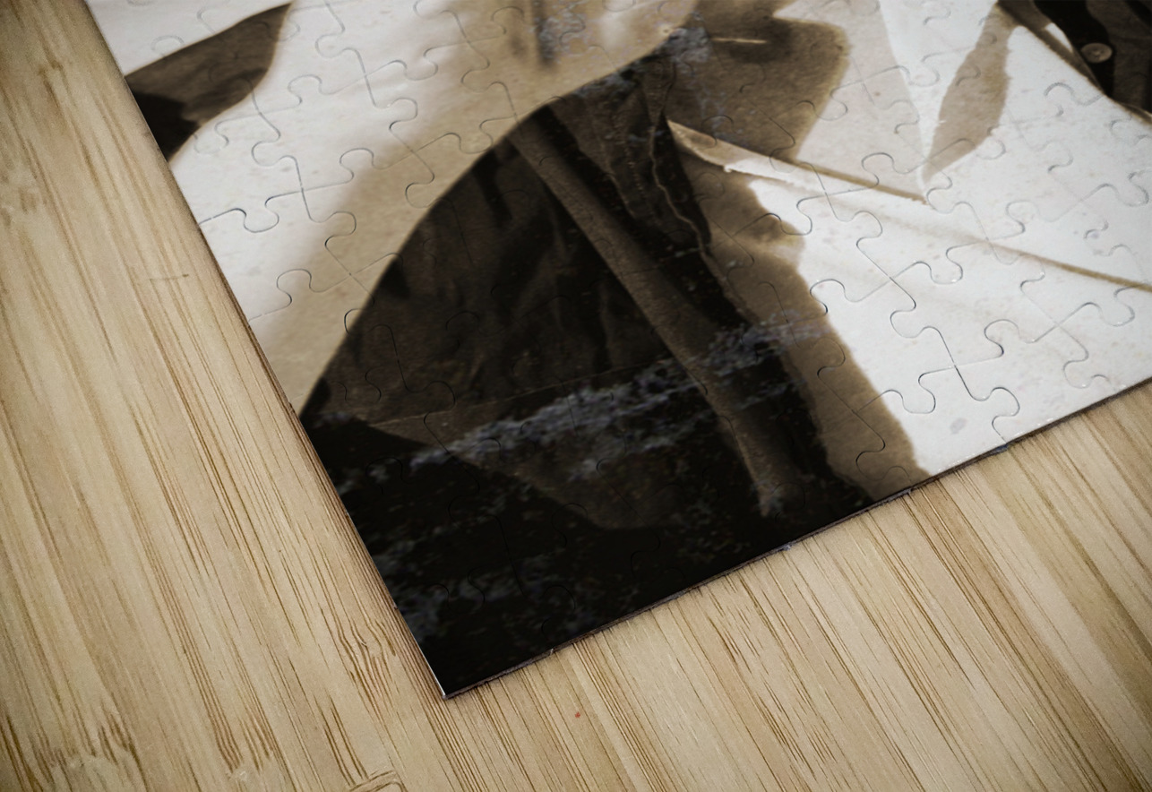 Vintage Explorer Jorgo Puzzle