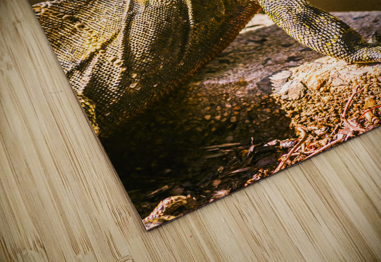 A predators portrait Jorgo Puzzle