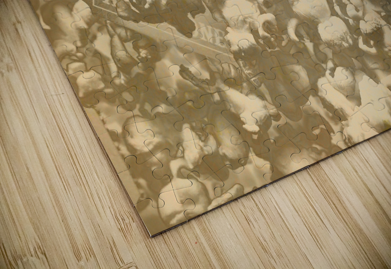 Carnivals and corn Jorgo Puzzle