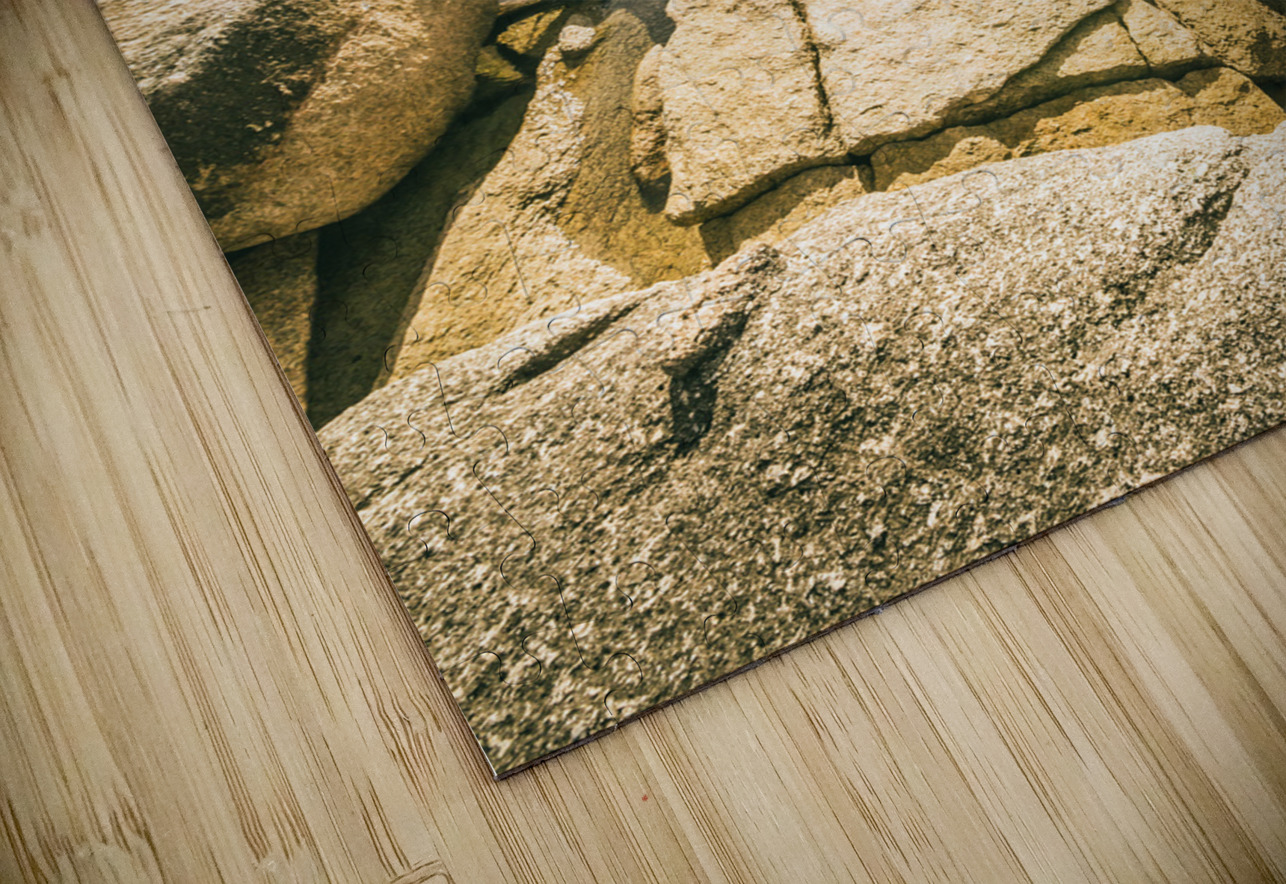 Bicheno foreshore Jorgo Puzzle