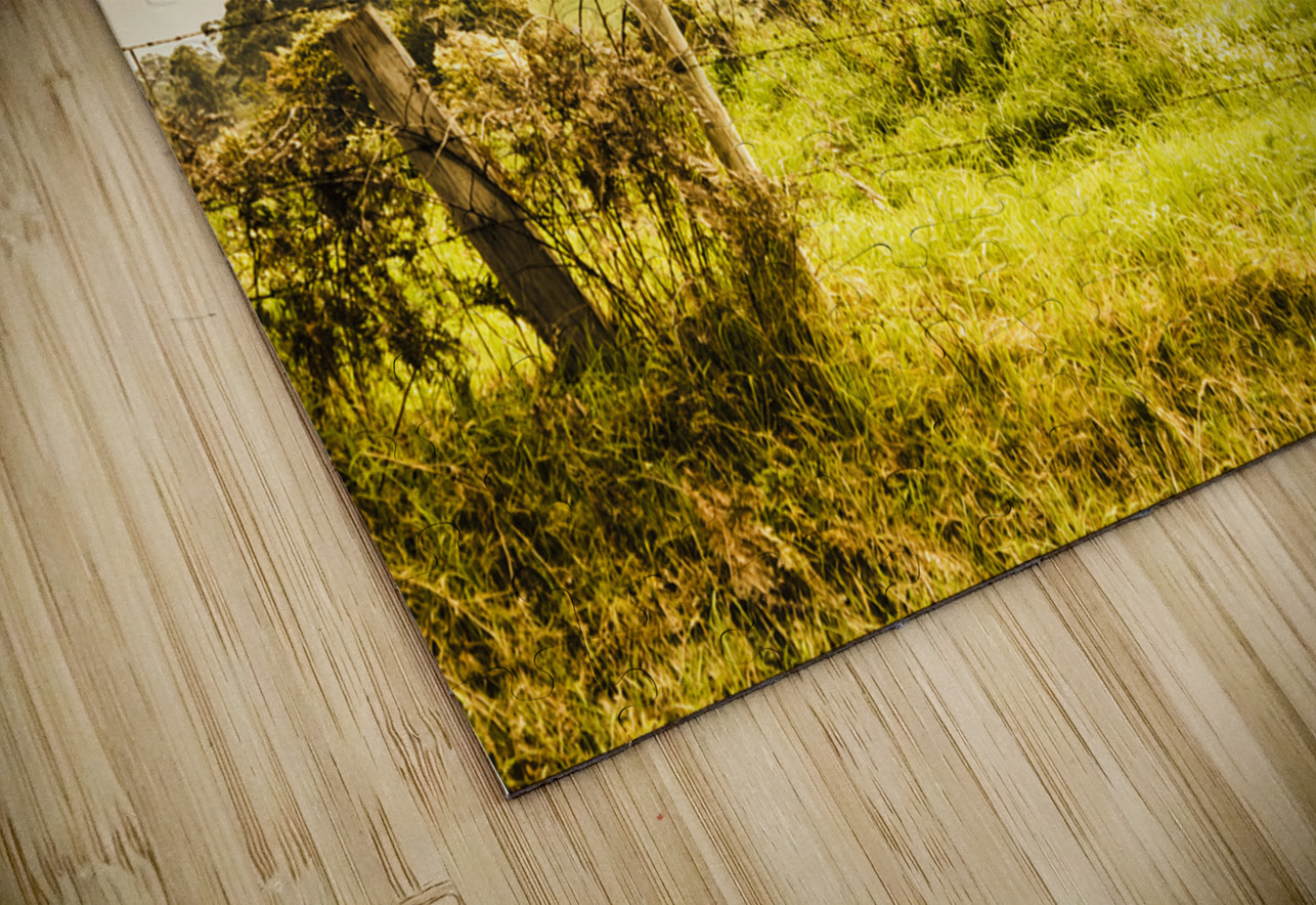 Colourful fields and farmyards Jorgo Puzzle