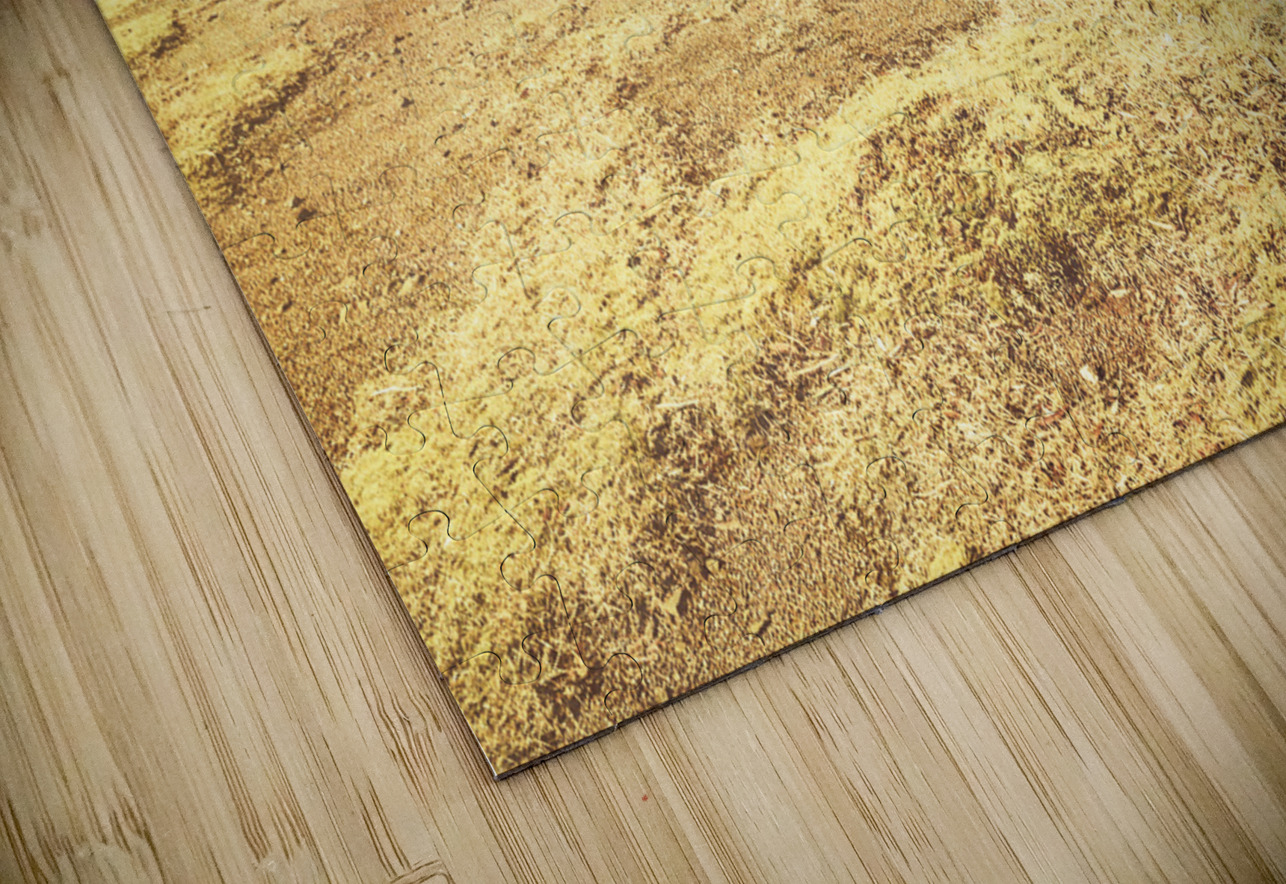 Old farming landscape Jorgo Puzzle