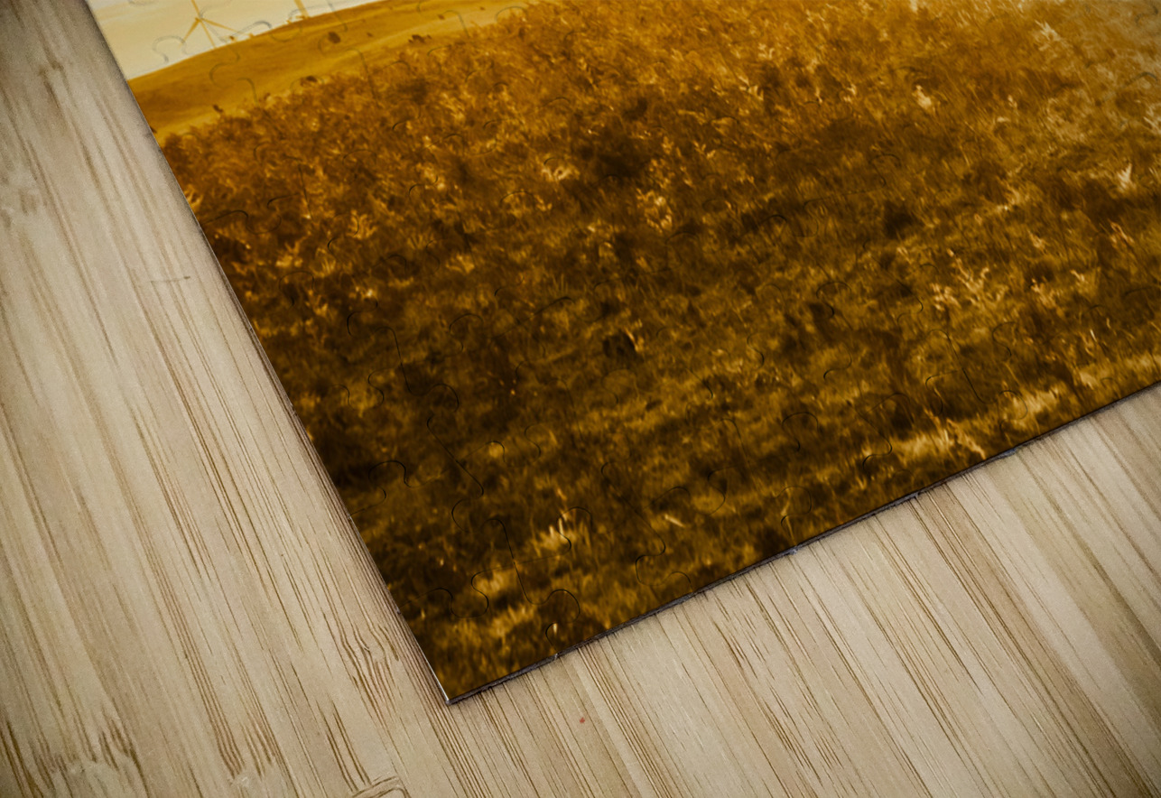 Musselroe Wind Farm Jorgo Puzzle