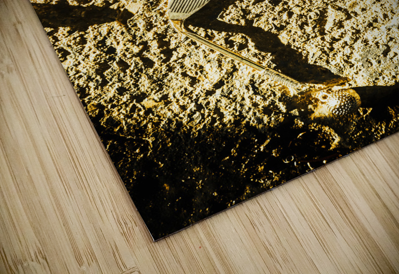 Golf and the bunker battle Jorgo Puzzle