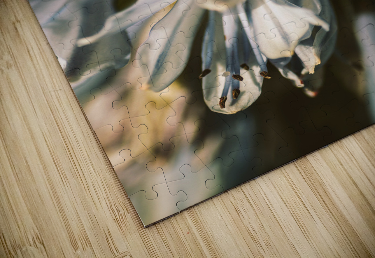 Vintage Agapanthus flower Jorgo Puzzle