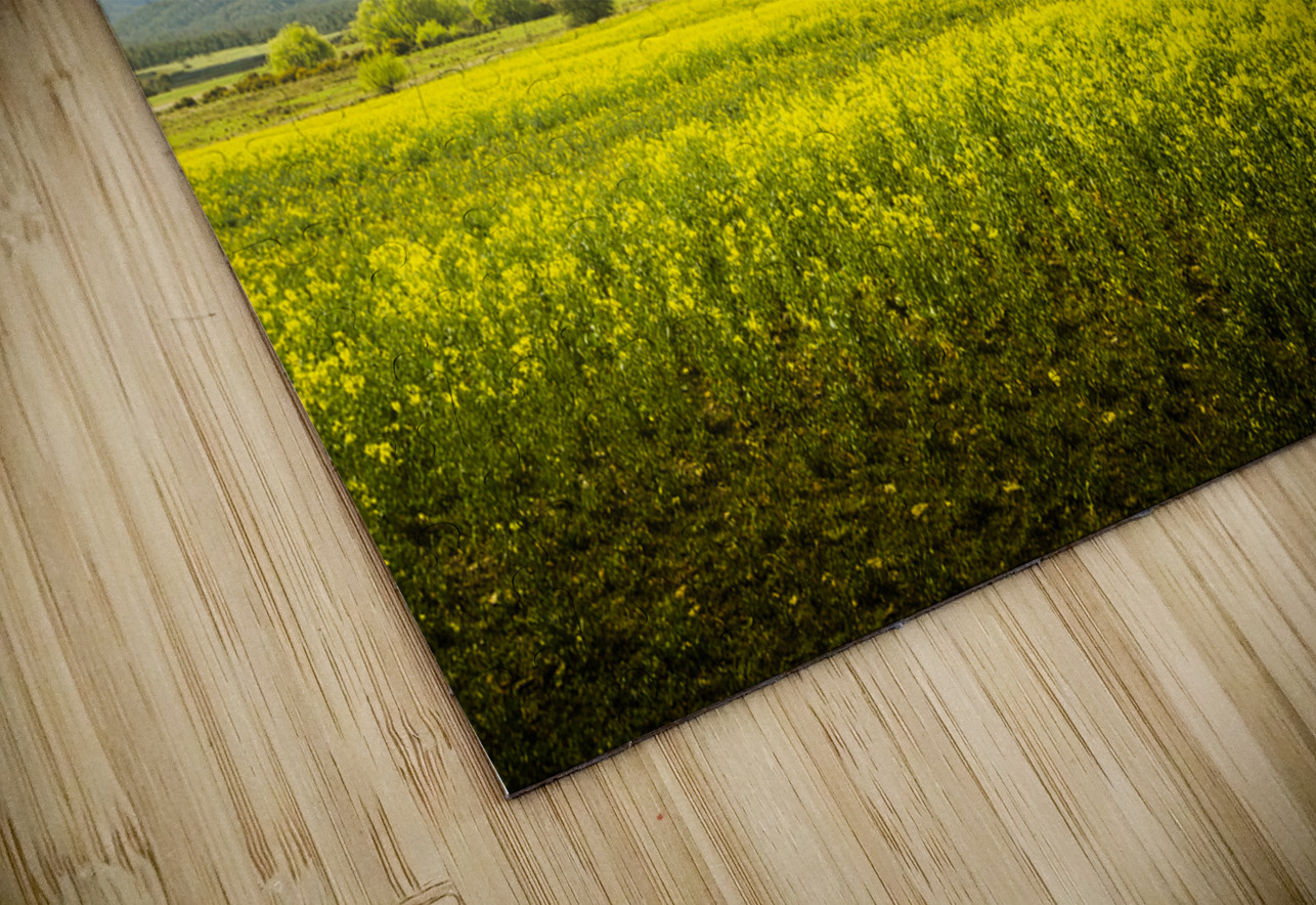 Farmland colour Jorgo Puzzle