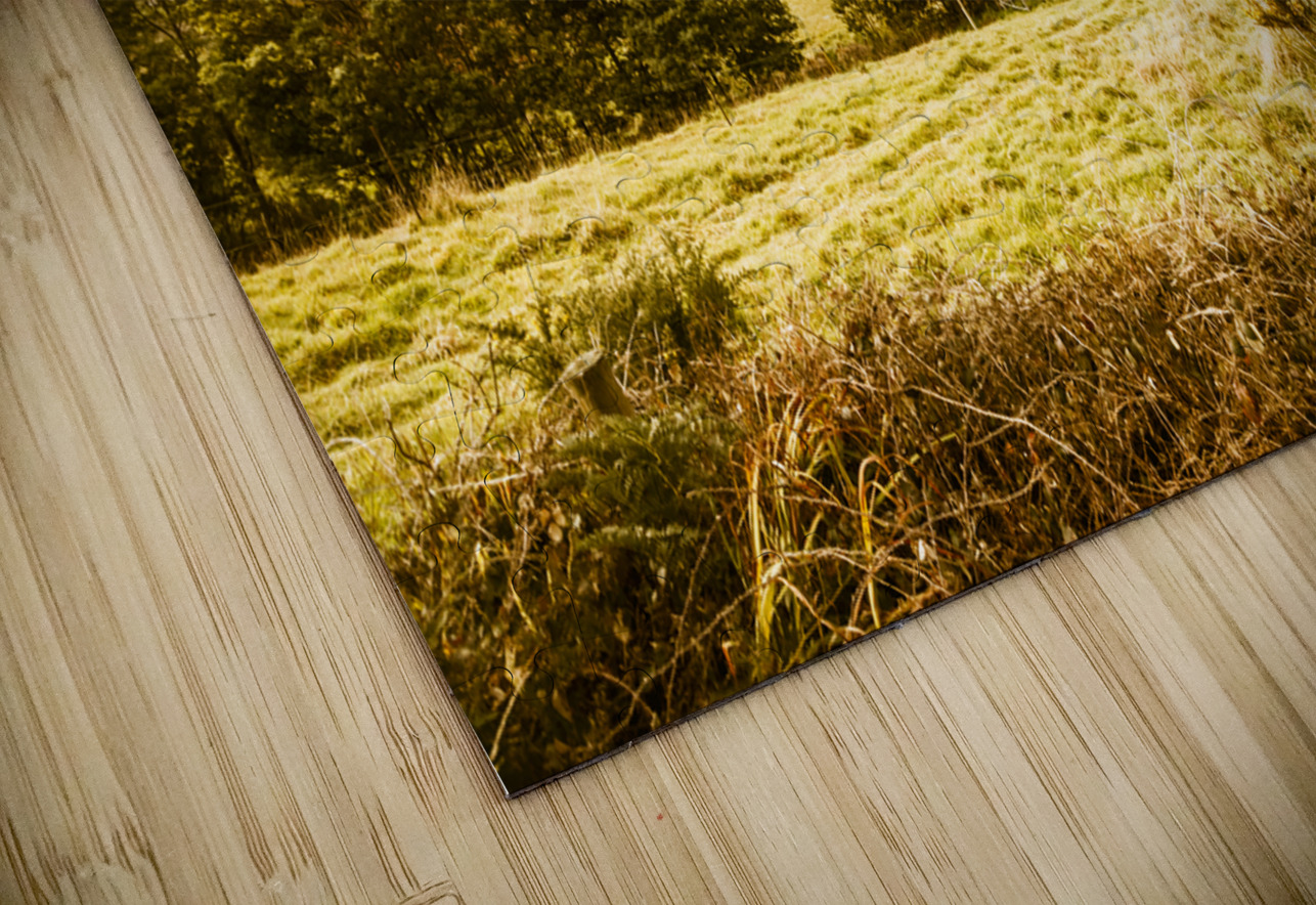 Charming outback country setting Jorgo Puzzle