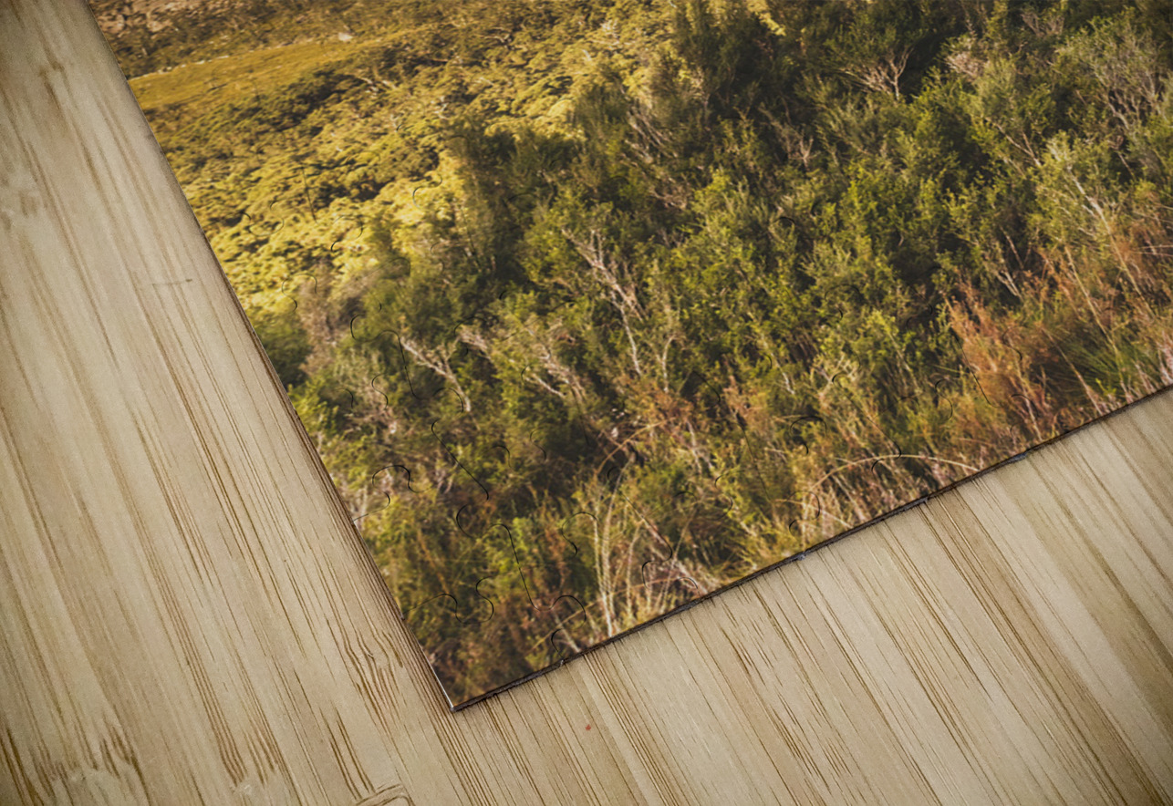 Western wilds Jorgo Puzzle