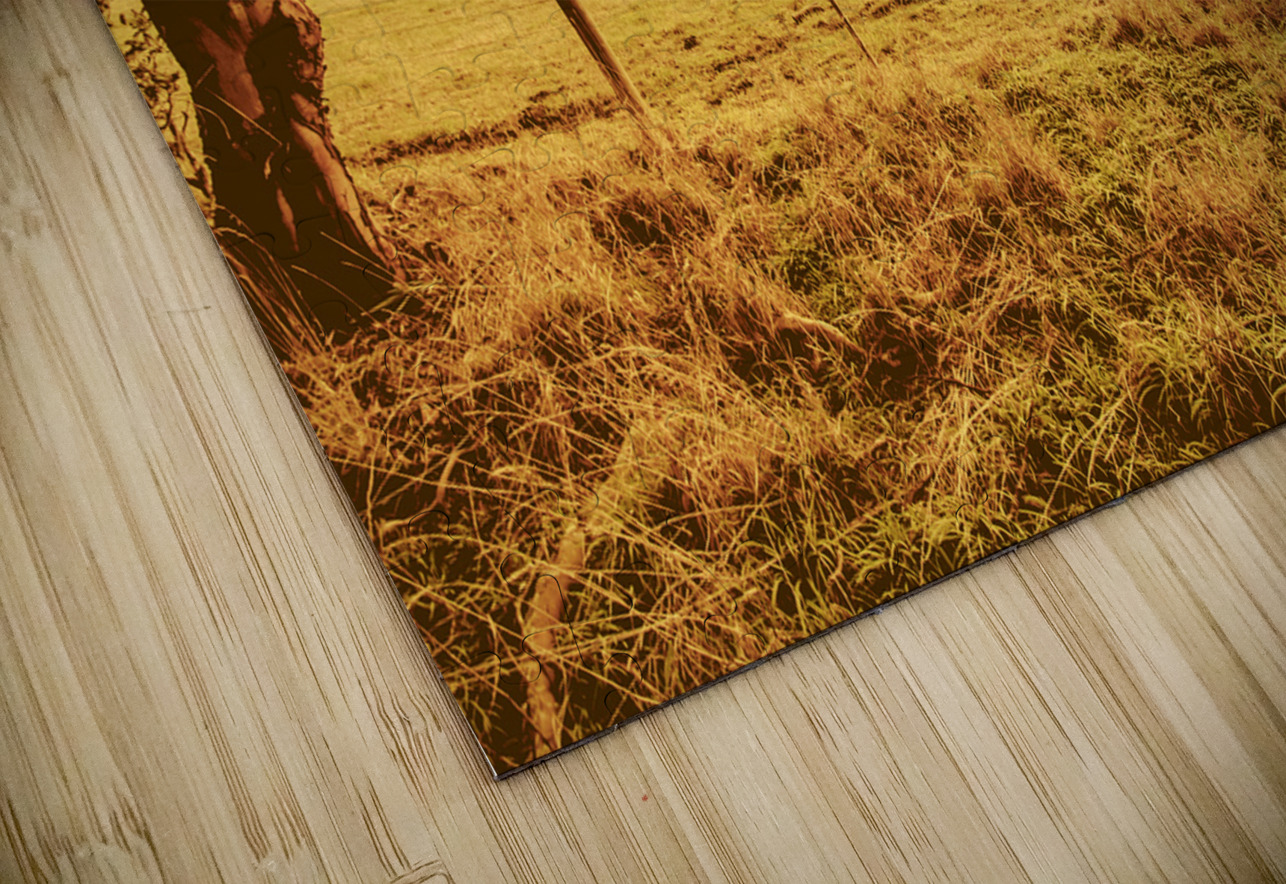 Autumn vista Jorgo Puzzle