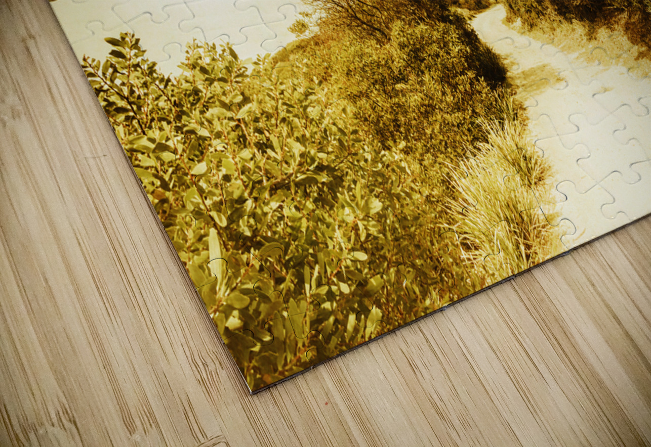 Wayback Beacon Jorgo Puzzle