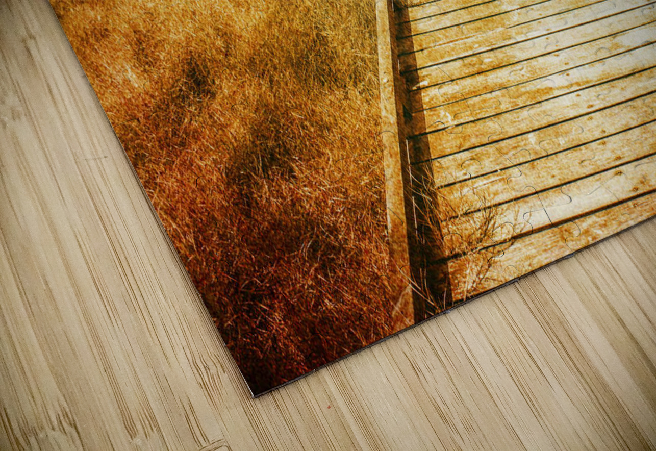 Boardwalk through vintage wetlands Jorgo Puzzle