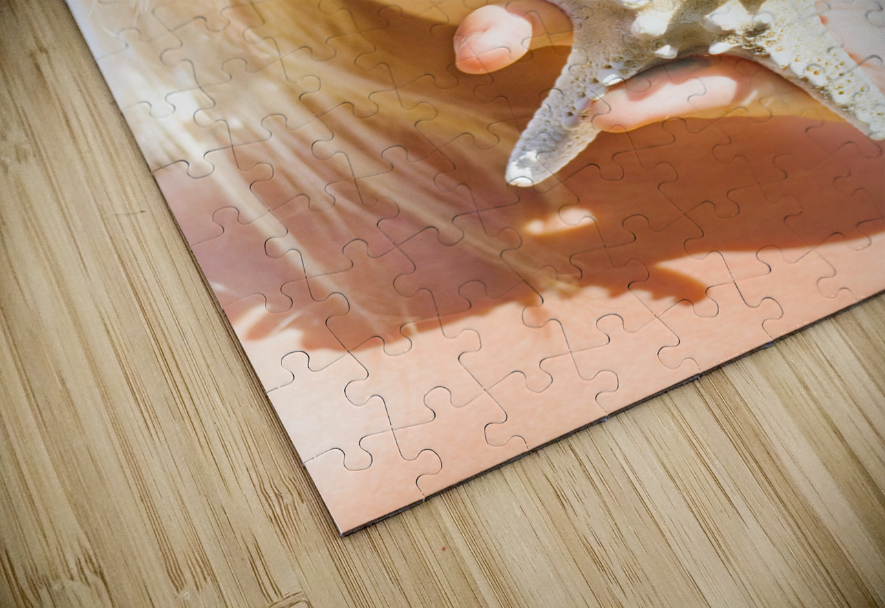 Summer Secrecy Jorgo Puzzle