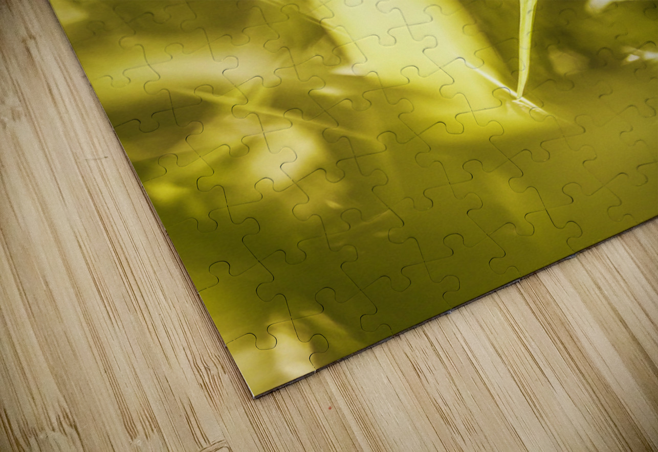 Jungle butterfly Jorgo Puzzle