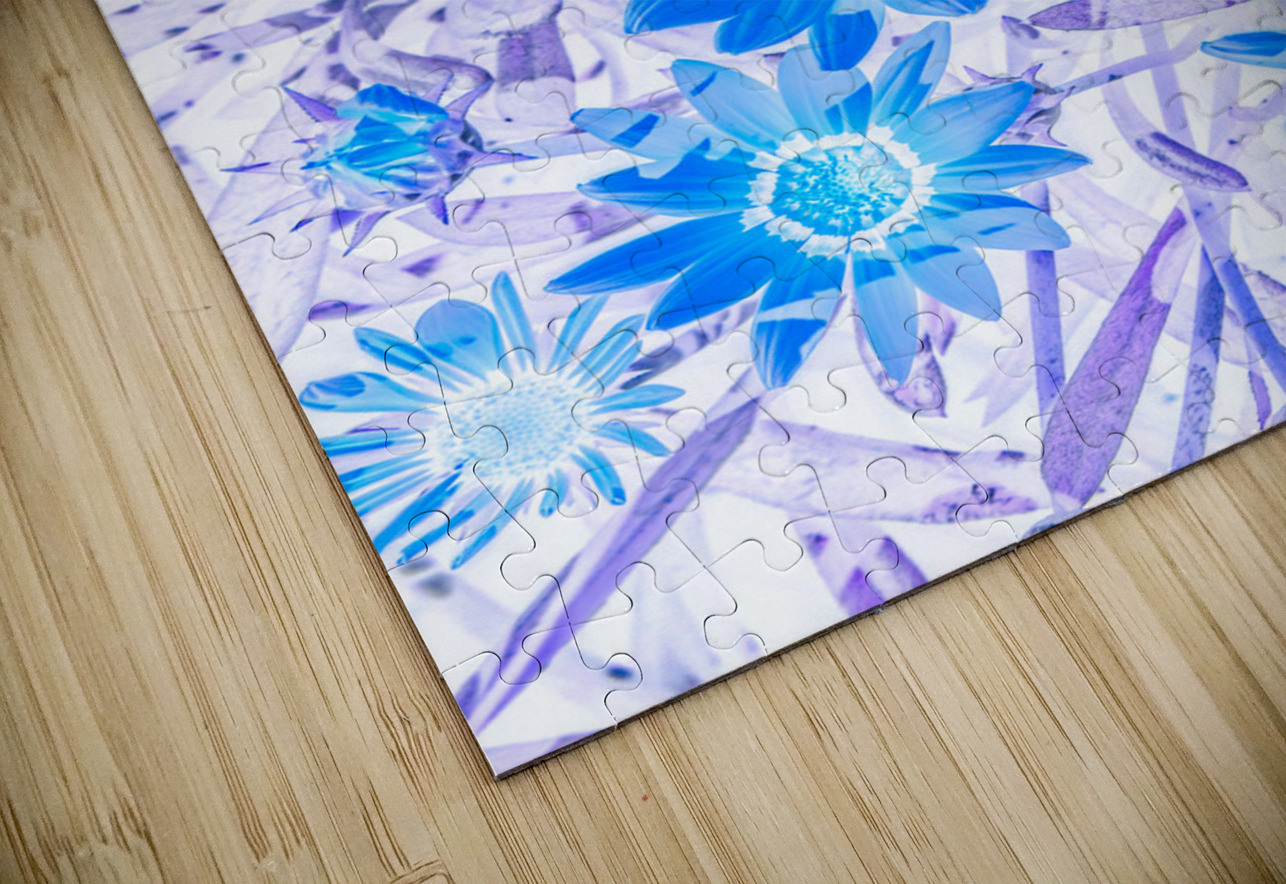 Gazania blue Jorgo Puzzle