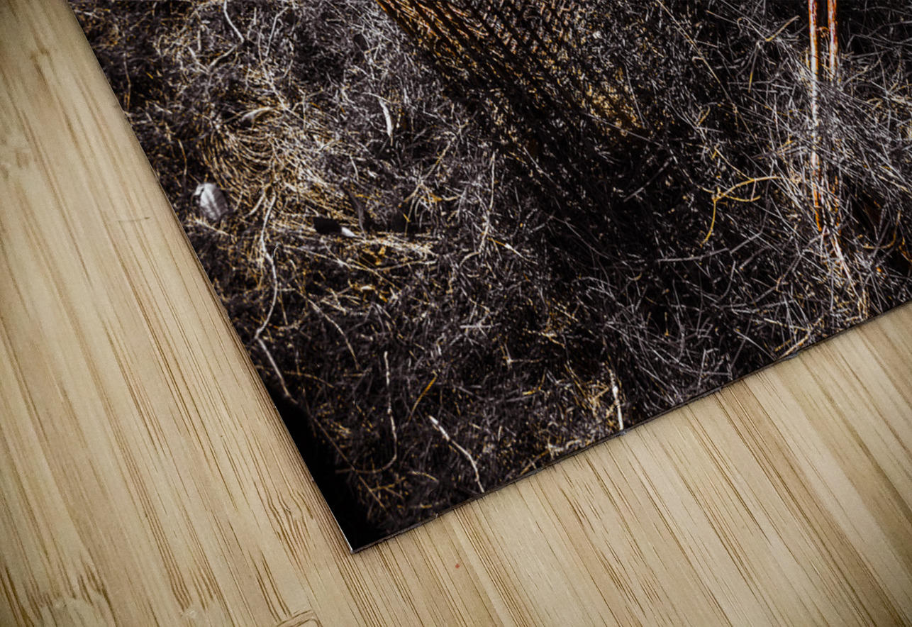 Coming to a store near you Jorgo Puzzle