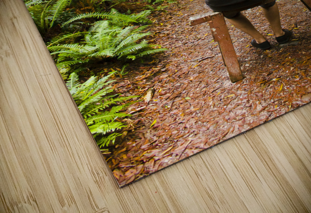 Travel man sitting in a green lush fern forest Jorgo Puzzle
