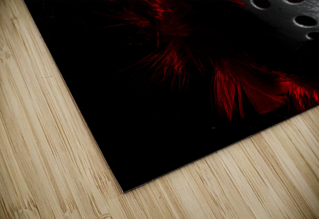 Black Friday the 13th  Jorgo Puzzle