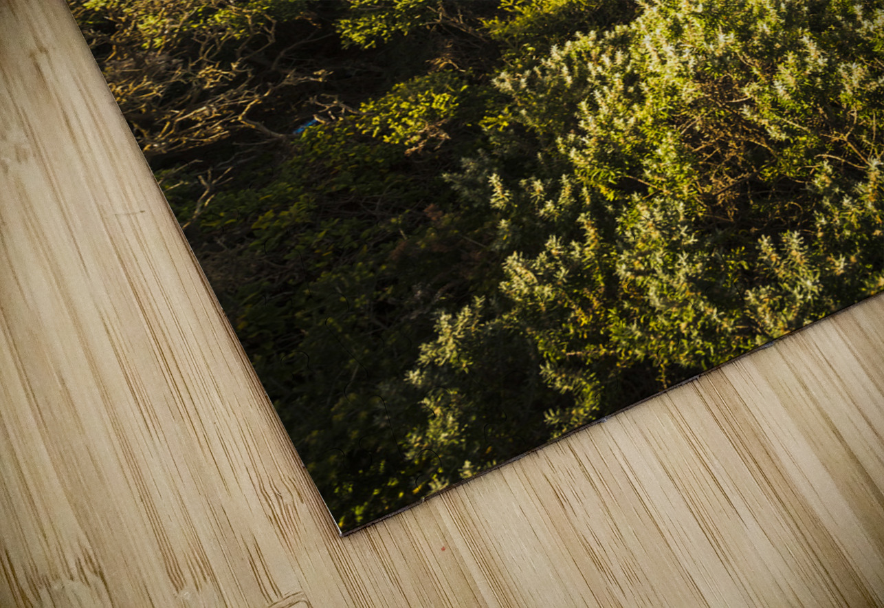 Eagle Rock landscape Jorgo Puzzle