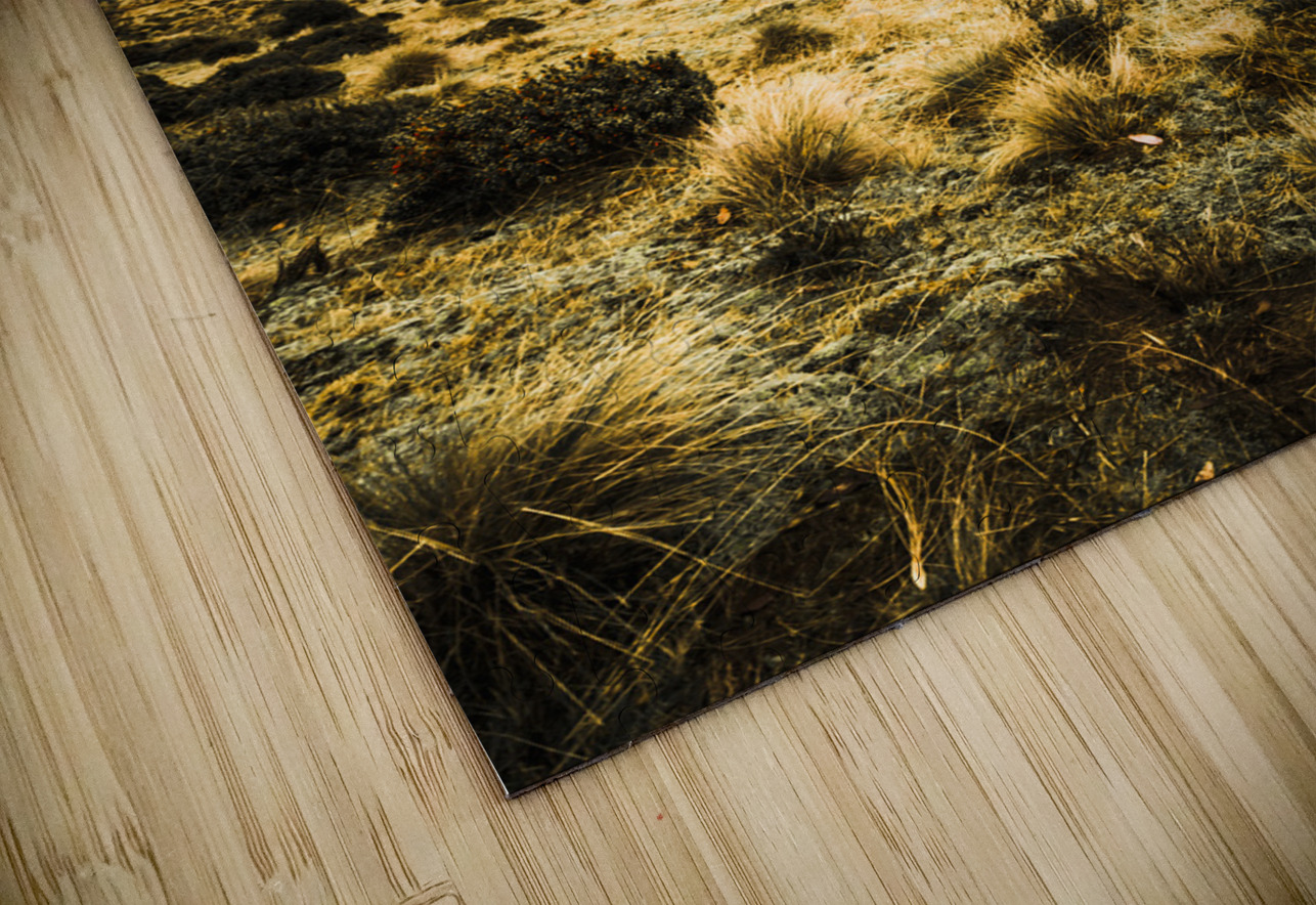 Central highlands of Tasmania Jorgo Puzzle