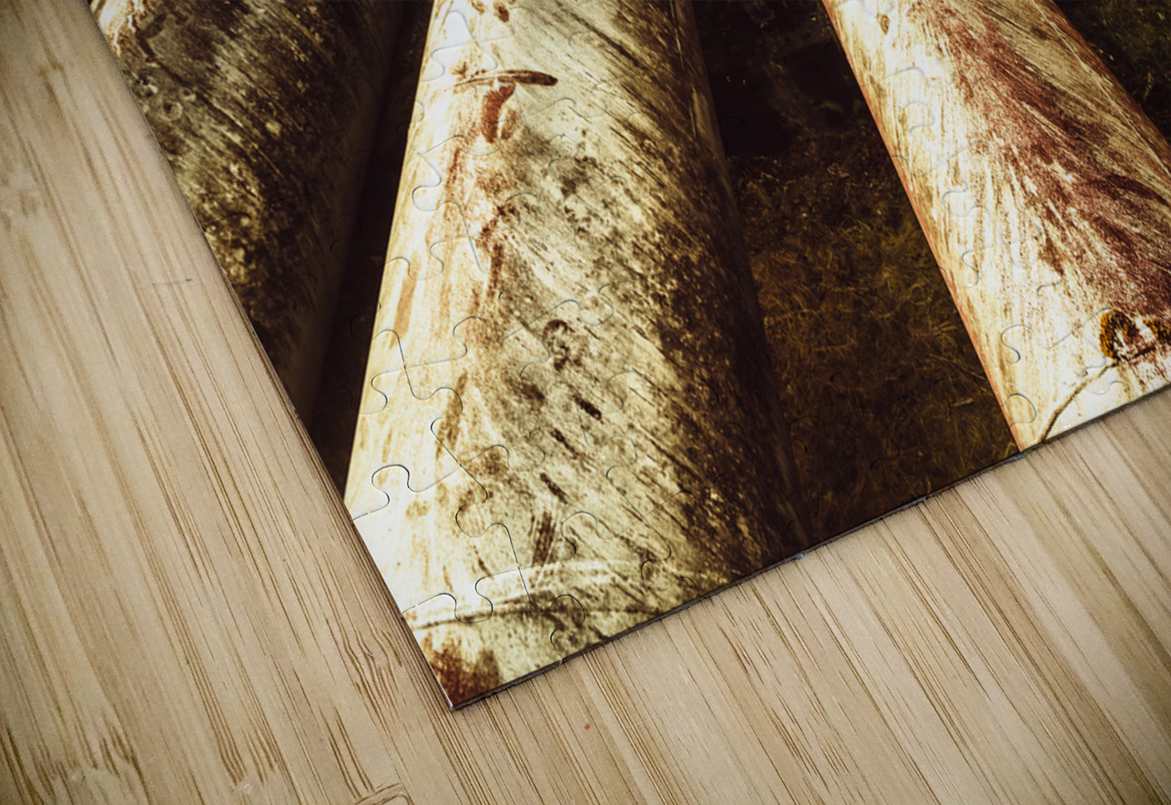 Industrial hydro architecture Jorgo Puzzle