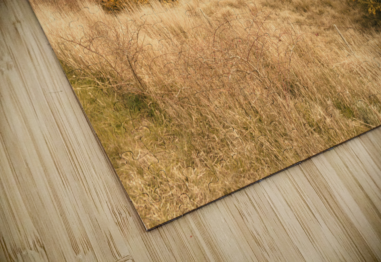 Meandering hills Jorgo Puzzle