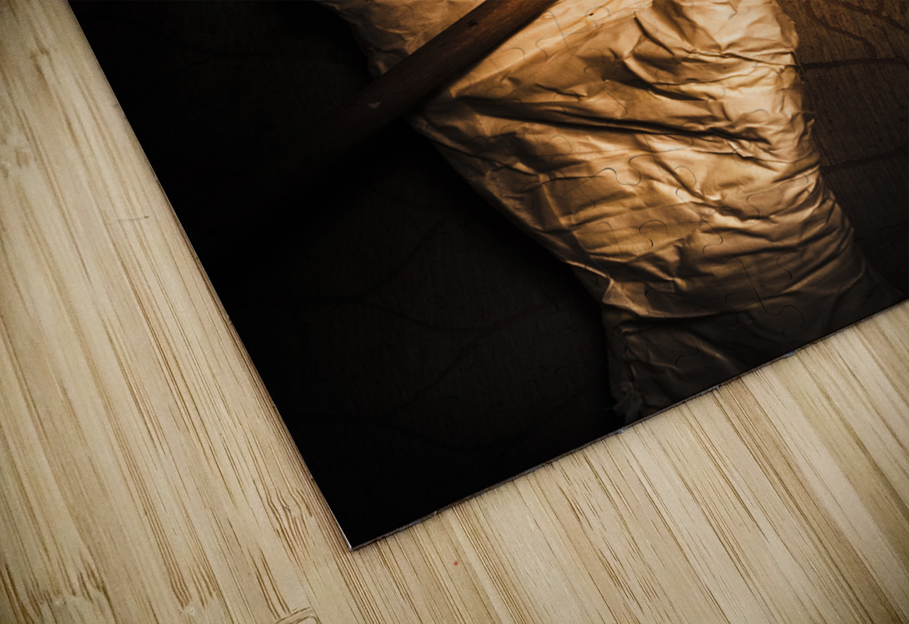 Curse of the tomb robber Jorgo Puzzle