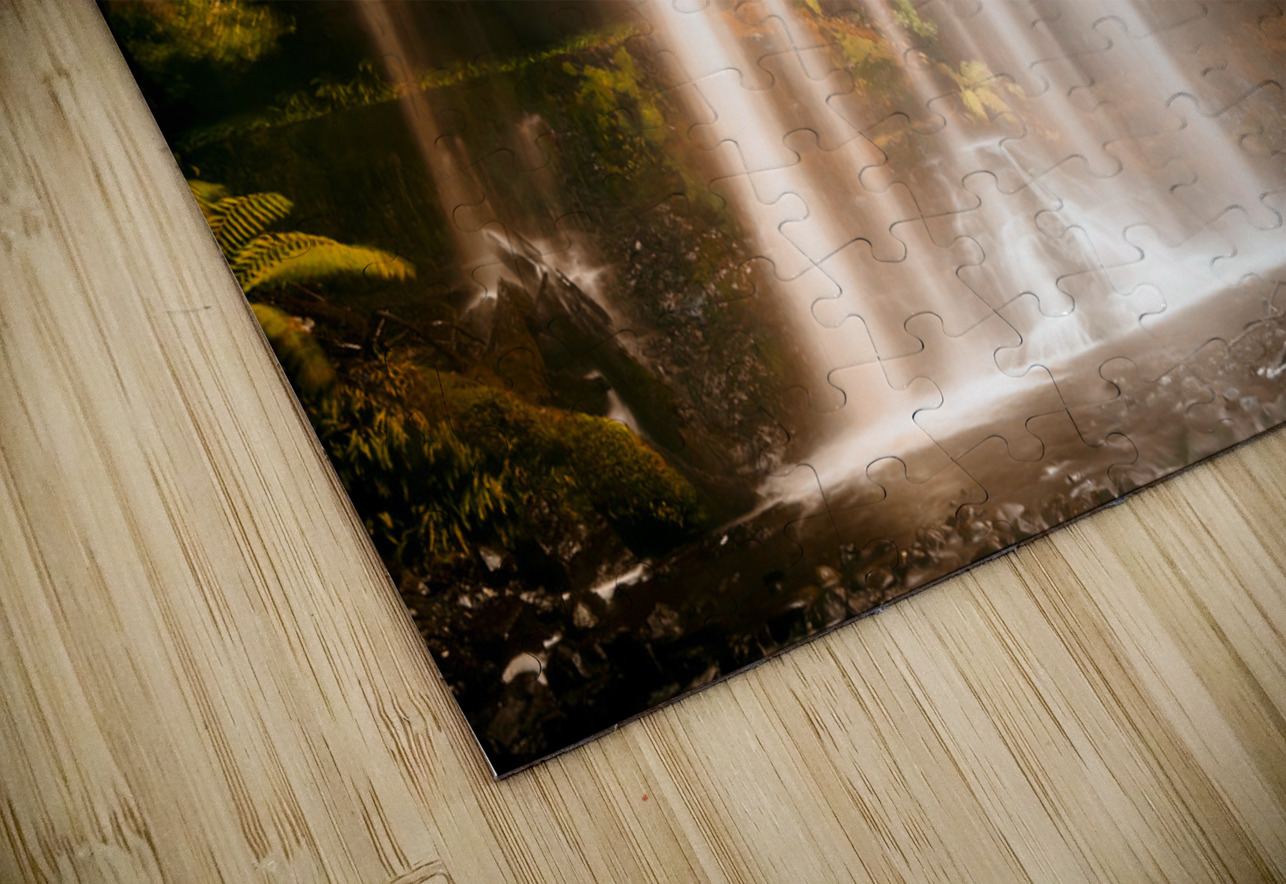 Fall of autumn  Jorgo Puzzle