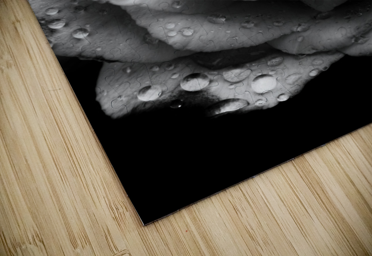 Rose n rain Jorgo Puzzle