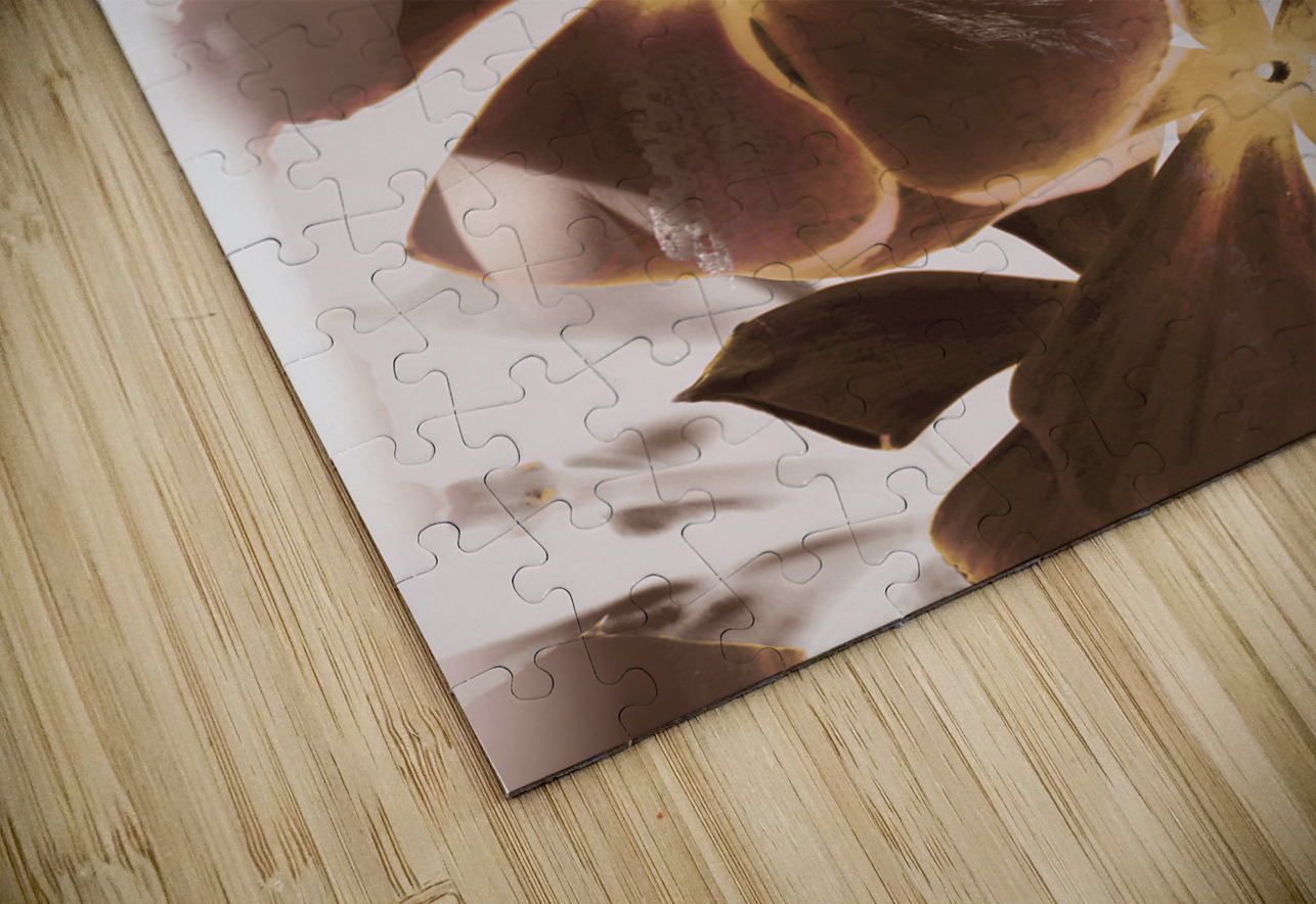 Stories of fleeting romance Jorgo Puzzle