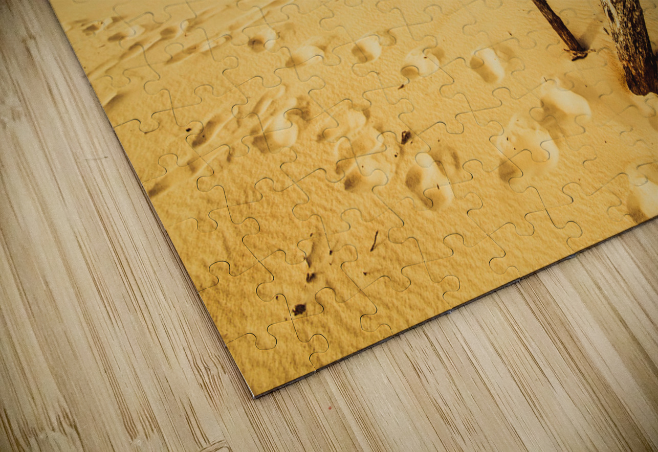 Strahan sand dune landscape Jorgo Puzzle
