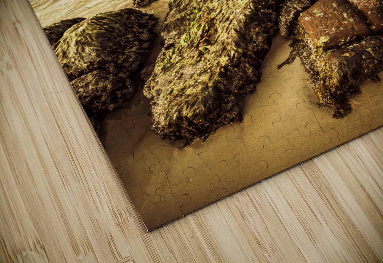 Oceanic harmony Jorgo Puzzle