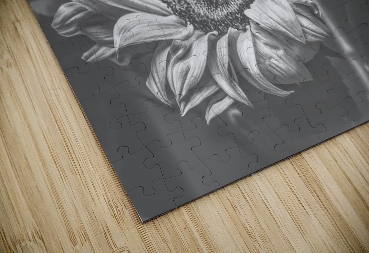 Summer nostalgia Jorgo Puzzle