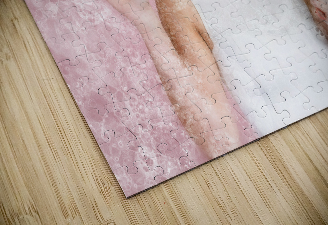 Retro window cleaning girl looking at clean glass Jorgo Puzzle