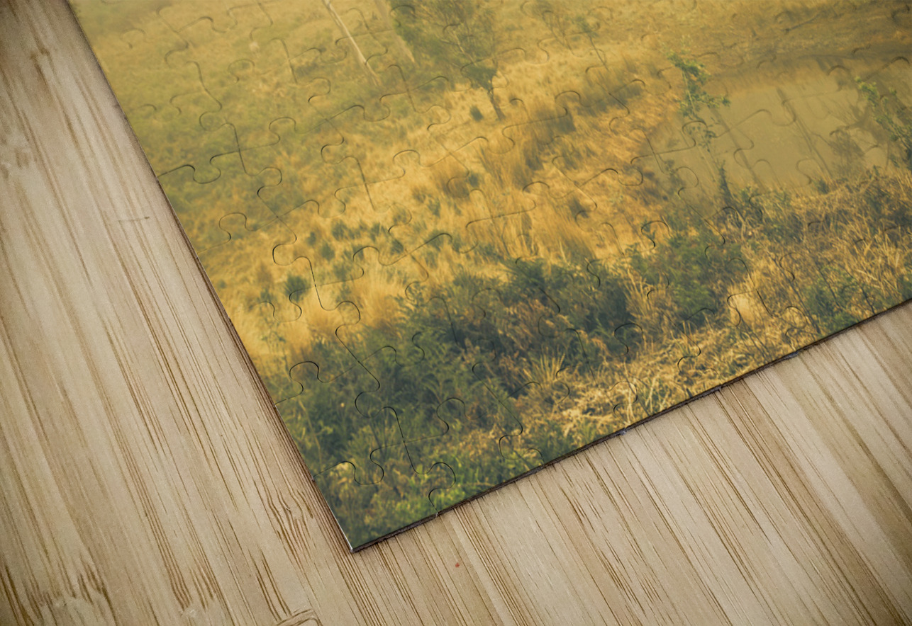 Mystical lake Jorgo Puzzle